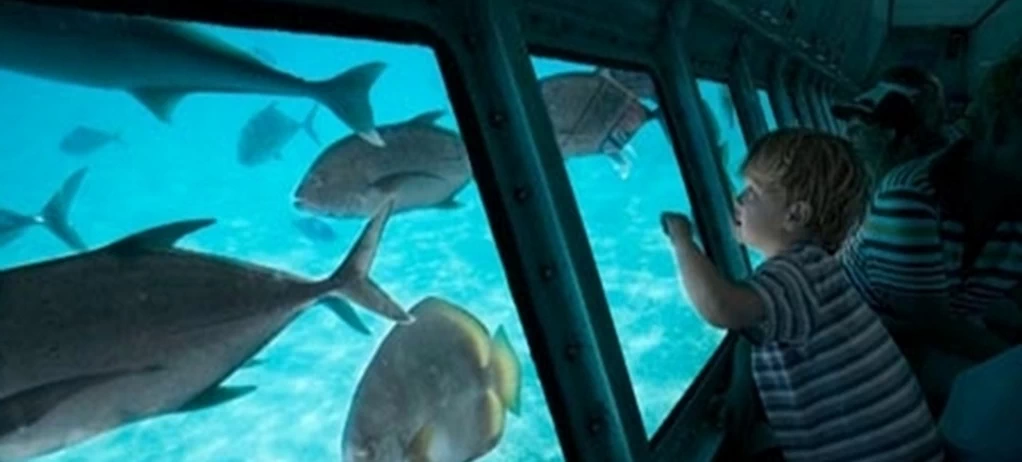 A Semi Submarine Tour in Sharm el Sheikh 